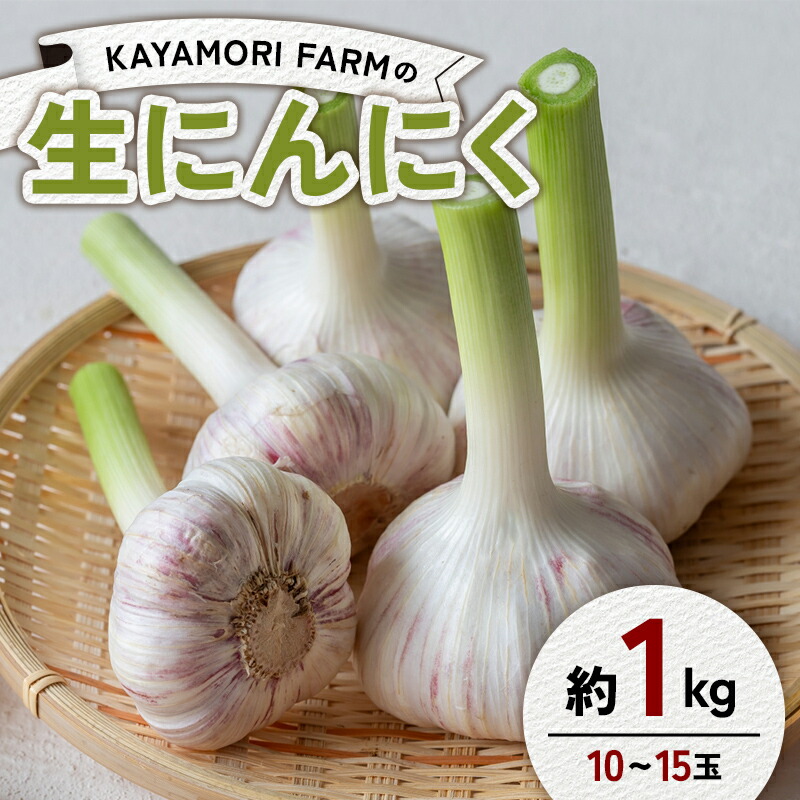 【ふるさと納税】 KAYAMORI FARMの生にんにく 約1kg（10～15玉） F6U-378