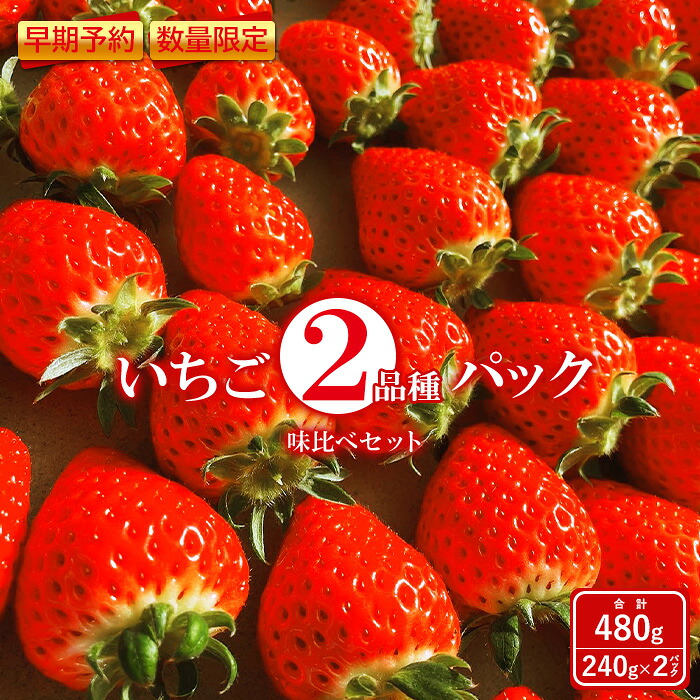 【ふるさと納税】【早期予約・数量限定】いちご 2種 480g 食べ比べ セット 240g × 2パック＜2026年2月上旬頃より順次発送予定＞ 春いちご スターナイト おいCベリー ゆうやけベリー かおり野 すず はるひ よつぼし ふるさと納税 福島県 石川 石川町 イチゴ 【1000401】