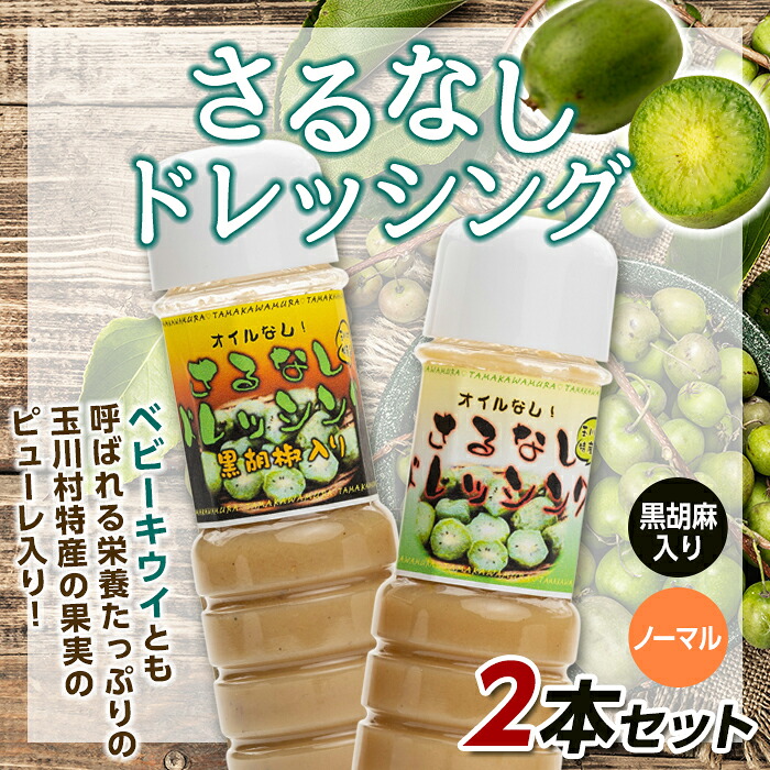 【ふるさと納税】ノンオイルさるなしドレッシング2本セット FT18-229