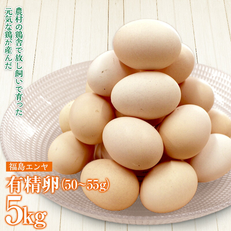 【ふるさと納税】玉川村産 有精卵50～55g 90玉（割れ保証10玉含む）栄養満点 タマゴ 玉子 エッグ 国産 オムレツ TKG 温泉卵 ゆでたまご FT18-221
