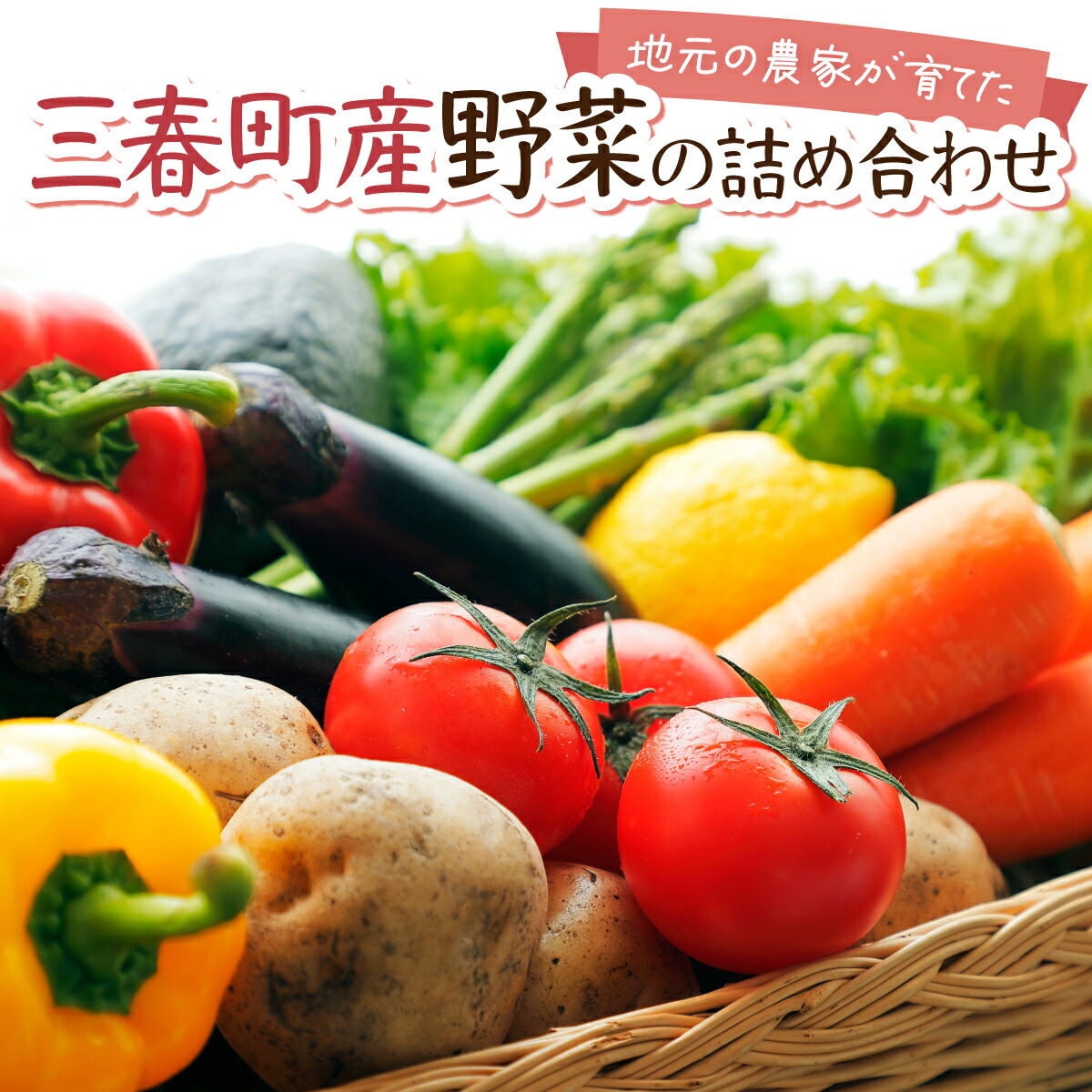 【ふるさと納税】【旬の野菜】三春町産野菜の詰合せ 約10～15kg 【季節野菜 7～8種類 セット 詰め合わせ アスパラ 玉ねぎ 新鮮 厳選 国産 BBQ バーベキュー 贈り物】【07521-0007】