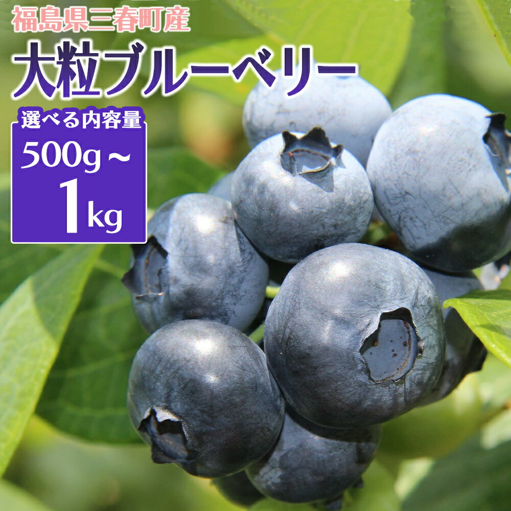 【ふるさと納税】三春ブルーベリー 1kg/500g 【2025年6月下旬発送】【内容量が選べる 期間限定 三春町産 生ブルーベリー 大粒 冷蔵 福島県 三春町 三春ブルーベリー倶楽部 有機質肥料 果物 国産 フルーツ 果実 旬 お中元 夏 ギフト プレゼント】【07521-0103・0133】