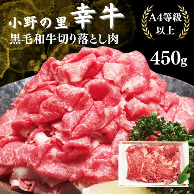 【ふるさと納税】【小町の里・幸牛】黒毛和牛切り落とし肉450g【配送不可地域：離島】【1077506】｜福島県小野町