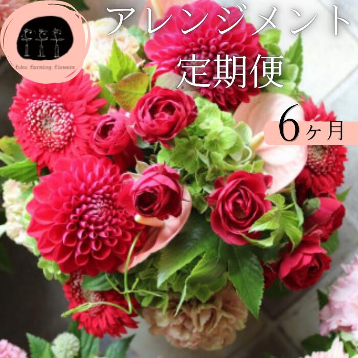 【ふるさと納税】【fuku farming flowers】御花申し合わせ 定期便 6ヶ月 M大きさ