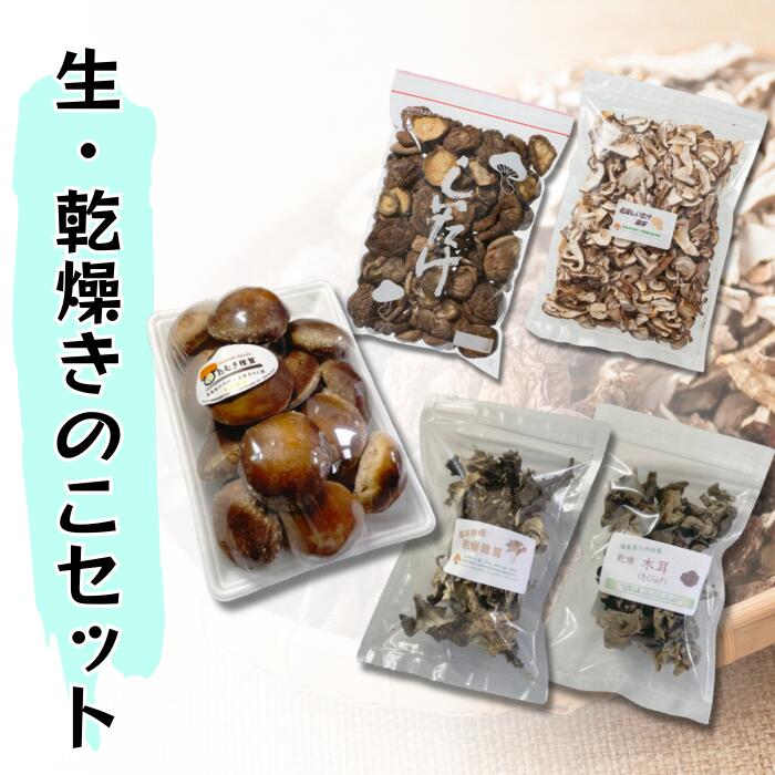 【遠藤きのこ園】生きのこ・乾燥きのこ詰め合わせセット（しいたけ・きくらげ・まいたけ） 10,500円