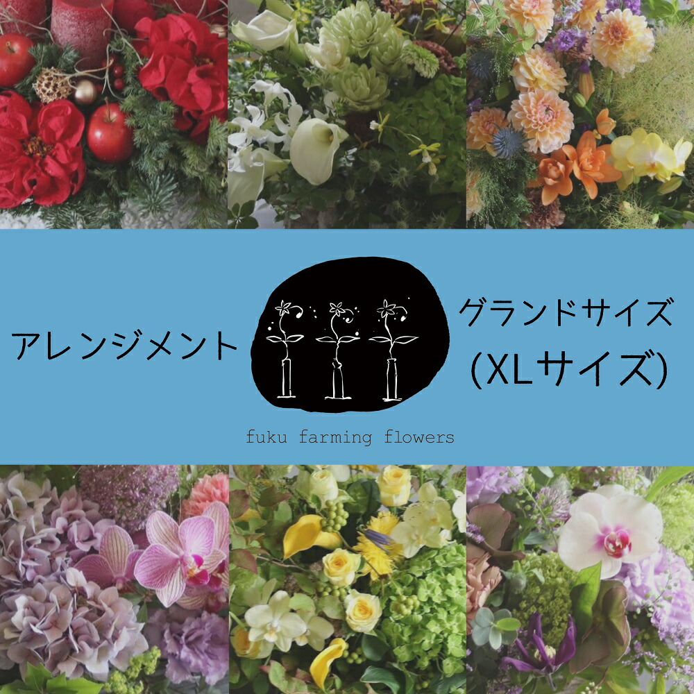 【ふるさと納税】【fuku farming flowers】お花申し合わせ XL大いさ｜競技場大いさ