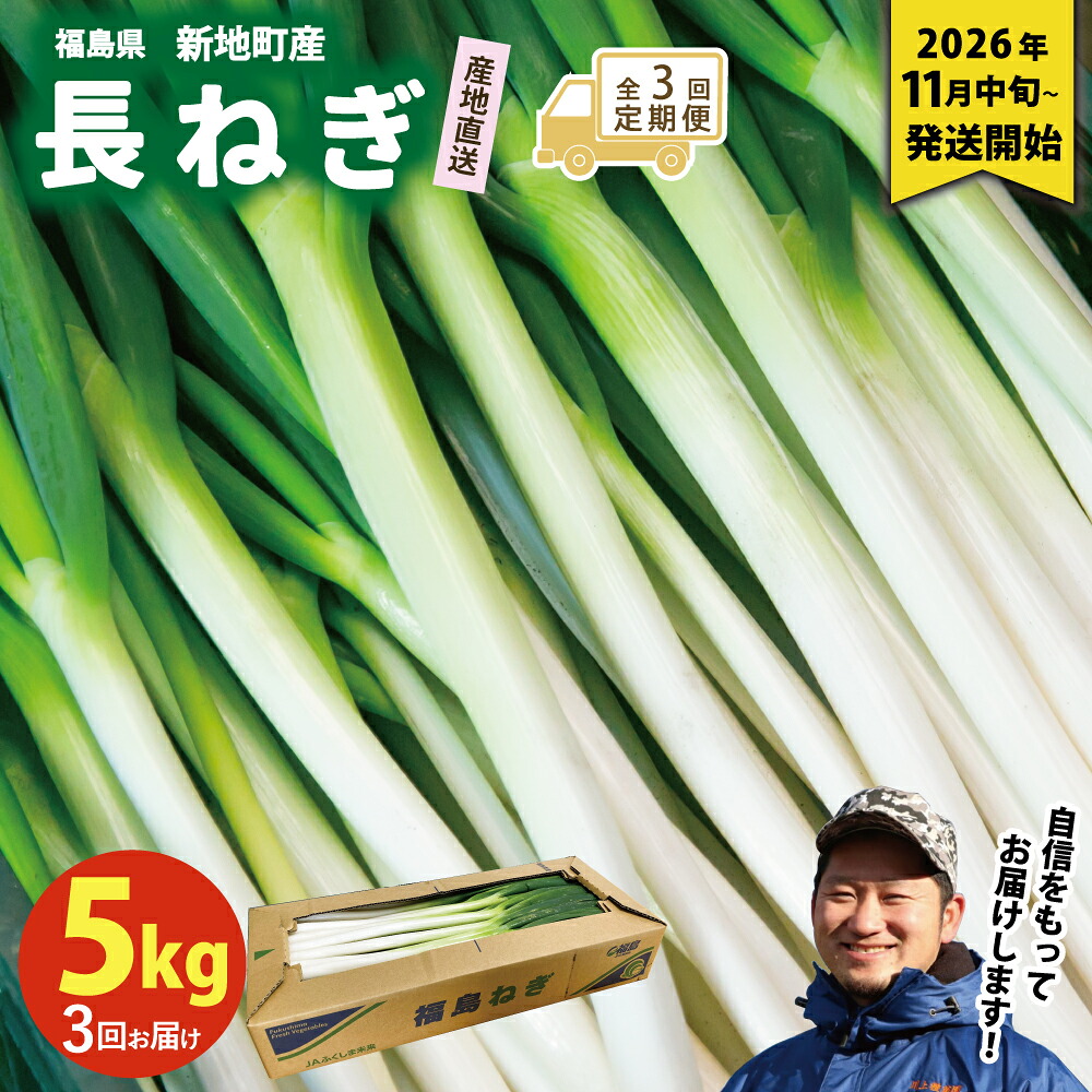 【ふるさと納税】＜先行予約＞【全3回定期便】新地町産 長ネギ 約5kg 1箱 | 野菜 やさい 食品 人気 おすすめ 送料無料 ねぎ ネギ 葱 長ねぎ お取り寄せ 福島県 新地町 白ねぎ 鍋｜福島県新地町 20,720円