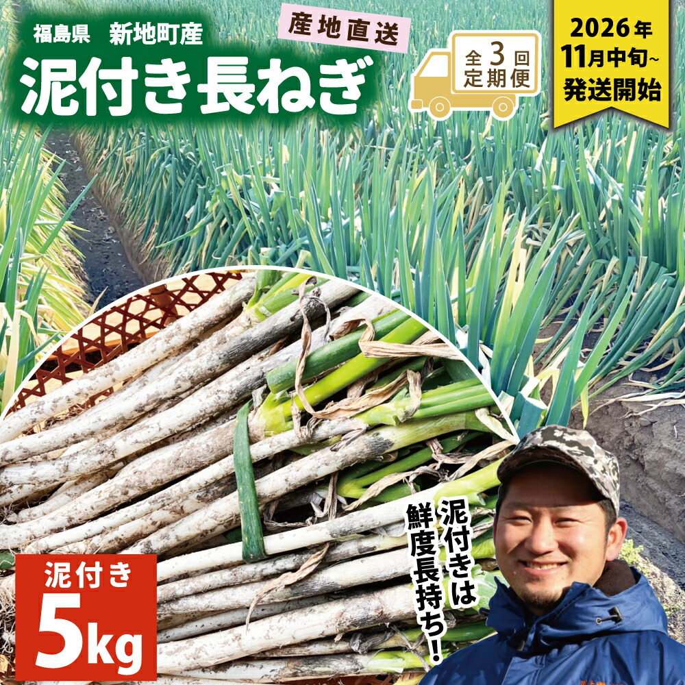 【ふるさと納税】<先行予約>【全3回定期便】新地町産 泥付き 長ネギ 約5kg 1箱 | 野菜 やさい 食品 人気 おすすめ 送料無料 ねぎ ネギ 葱 長ねぎ お取り寄せ 福島県 新地町 白ねぎ 鍋|福島県新地町