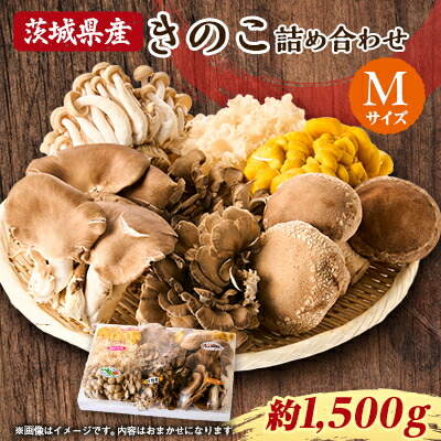【ふるさと納税】きのこの詰め合わせ　M(約1500g)【配送不可地域：離島・沖縄県】【1449115】