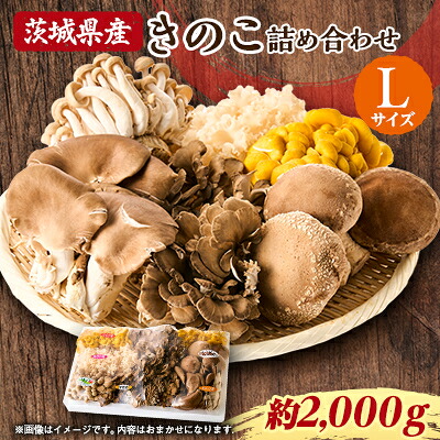 【ふるさと納税】茨城県城里町産 きのこの詰め合わせ Lサイズ 約2kg【配送不可地域：離島・沖縄県】【1593969】｜茨城県