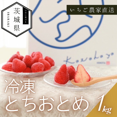 【ふるさと納税】風早いちご園 とちおとめ 冷凍いちご1kg 真空冷凍 長期保存【配送不可地域:離島・沖縄県】【1647800】