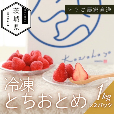 【ふるさと納税】風早いちご園 とちおとめ 冷凍いちご2kg(1kg×2パック) 真空冷凍 長期保存【配送不可地域：離島・沖縄県】【1647801】