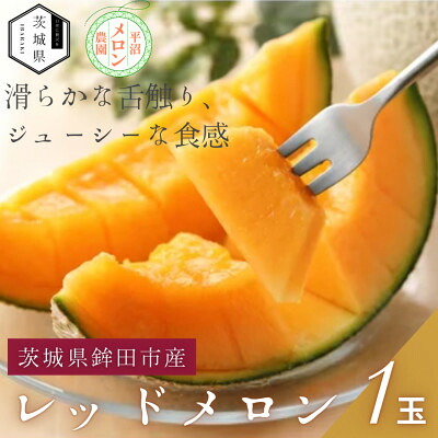 【ふるさと納税】【優秀賞受賞農家直送】鉾田市産レッドメロン　1.6kg以上×1玉　(※26年5月～発送予定)【配送不可地域：離島・沖縄県】【1656396】