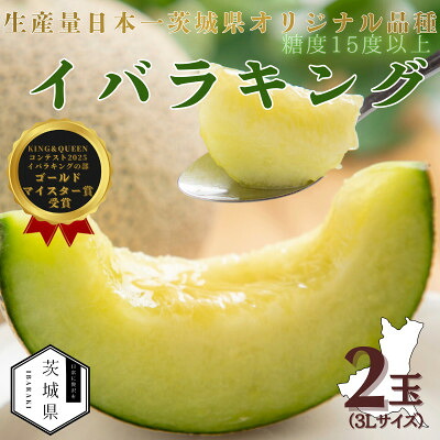 【ふるさと納税】茨城県産メロン 茨城県オリジナル品種 イバラキング 2玉(3L)2026年5月下旬順次発送予定【配送不可地域：離島・沖縄県】【1701968】