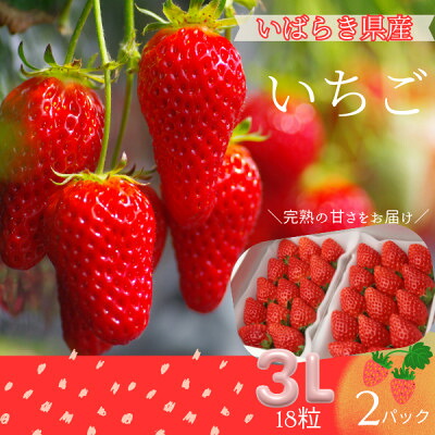 【ふるさと納税】菅谷いちご園の完熟いちご　3Lサイズ18粒(約420g)×2パック【配送不可地域：離島・北海道・沖縄県・中国・四国・九州】【1702274】