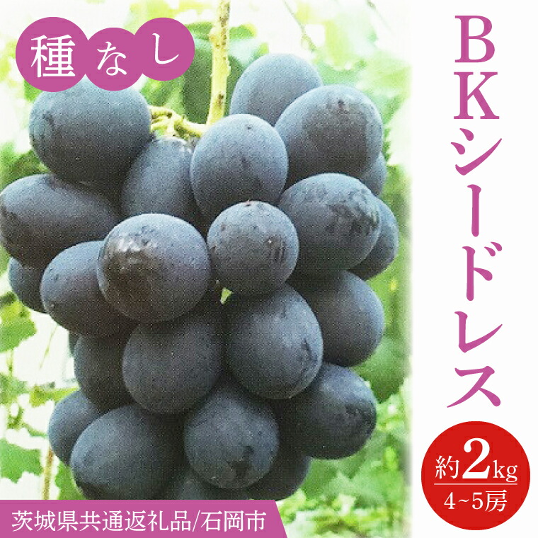 【ふるさと納税】【2025年9月より順次発送】BKシードレス 約2kg（4～5房）【茨城県共通返礼品/石岡市】【葡萄 ぶどう フルーツ 果物 くだもの 水戸市 茨城県】(IT-19)