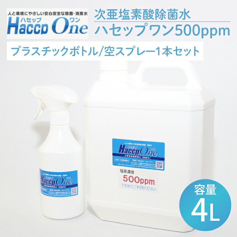水戸市文芸批評社会的運動第二弾 実地中！