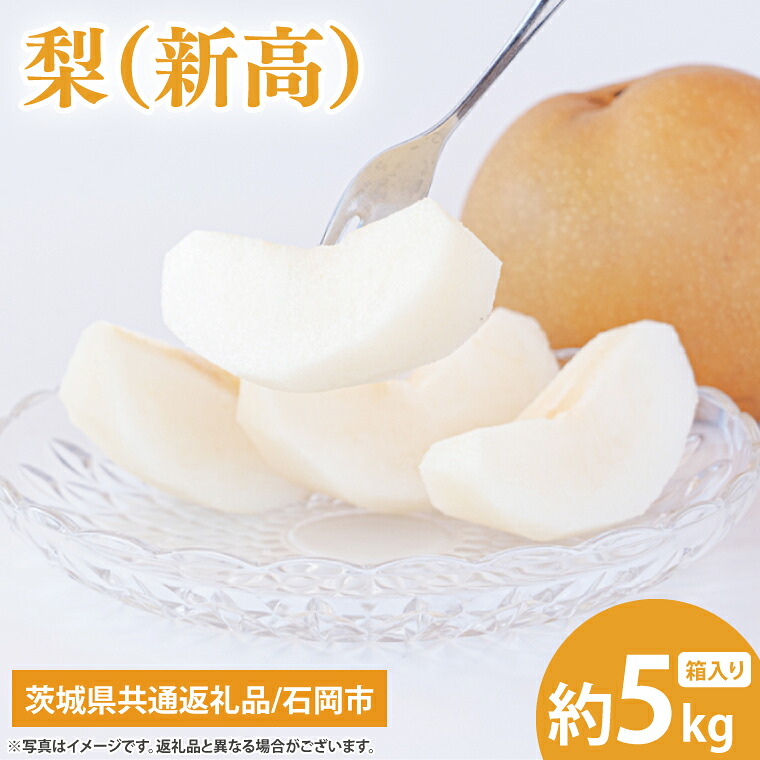 【楽天市場】【ふるさと納税】【9月下旬より発送】【数量限定】梨(新高)5kg【茨城県共通返礼品/石岡市】【果物 くだもの フルーツ ナシ なし ...