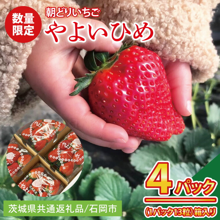 【ふるさと納税】【2026年1月中旬以降発送】【数量限定】【朝採れ】いちご やよいひめ3L 4パック【茨城県共通返礼品／石岡市】【朝どり 果物 くだもの フルーツ 苺 イチゴ 完熟 甘い 農家直送】（KU-3）