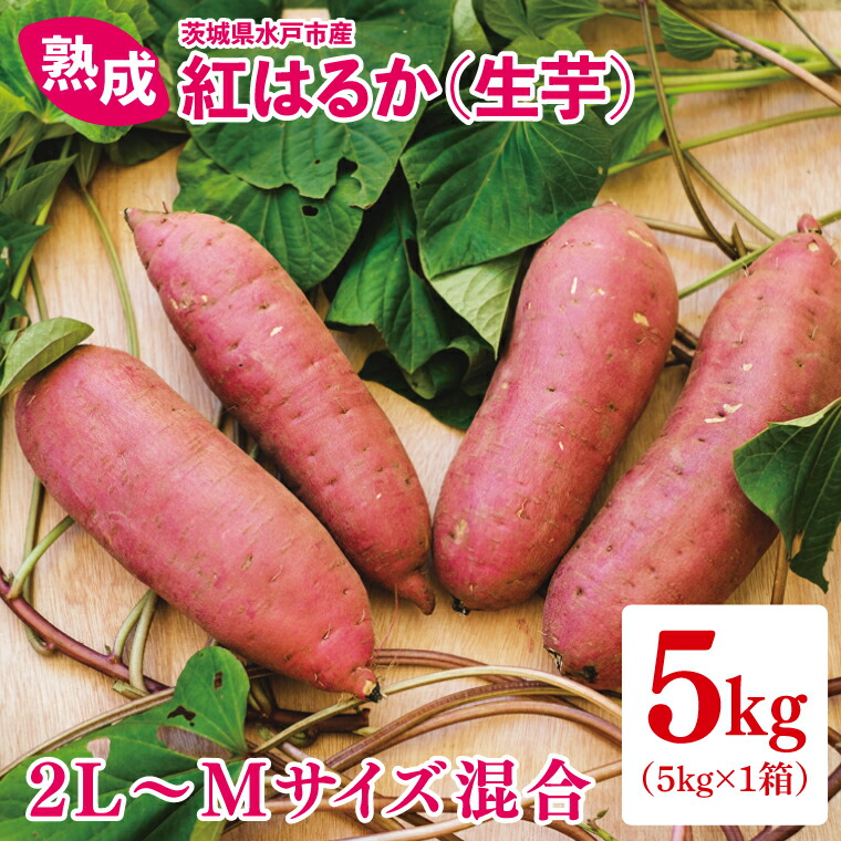 【ふるさと納税】【12月より順次発送】熟成 紅はるか（生芋）2L～Mサイズ混合5kg【いも サツマイモ さつまいも 焼き芋 スイートポテト ふるさと納税 水戸市 水戸 茨城県 10000円以内 1万円以内】（IN-1)
