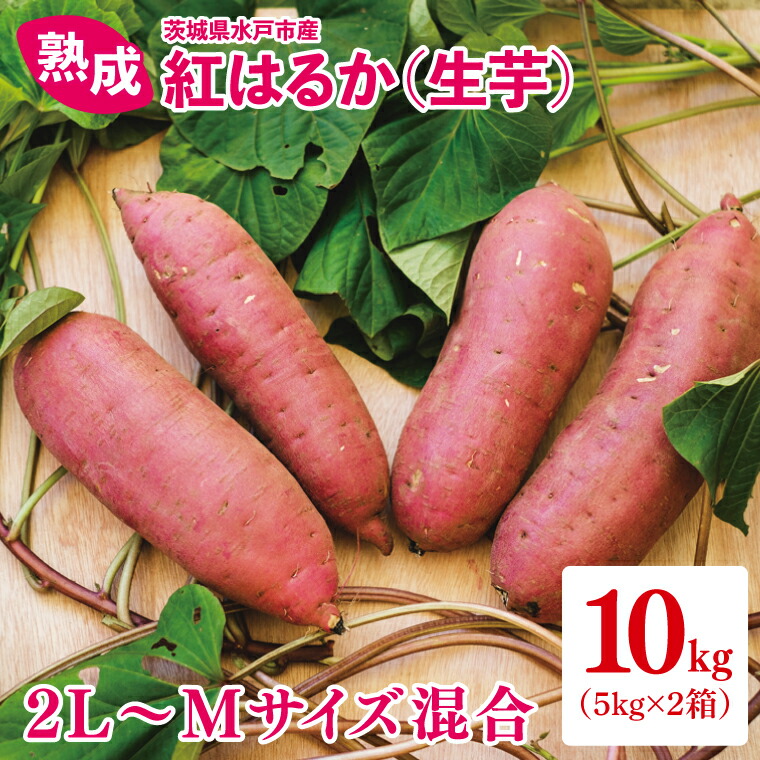 【ふるさと納税】【12月より順次発送】熟成 紅はるか（生芋）2L～Mサイズ混合10kg【いも サツマイモ さつまいも 焼き芋 スイートポテト ふるさと納税 水戸市 水戸 茨城県 15000円以内】（IN-2)