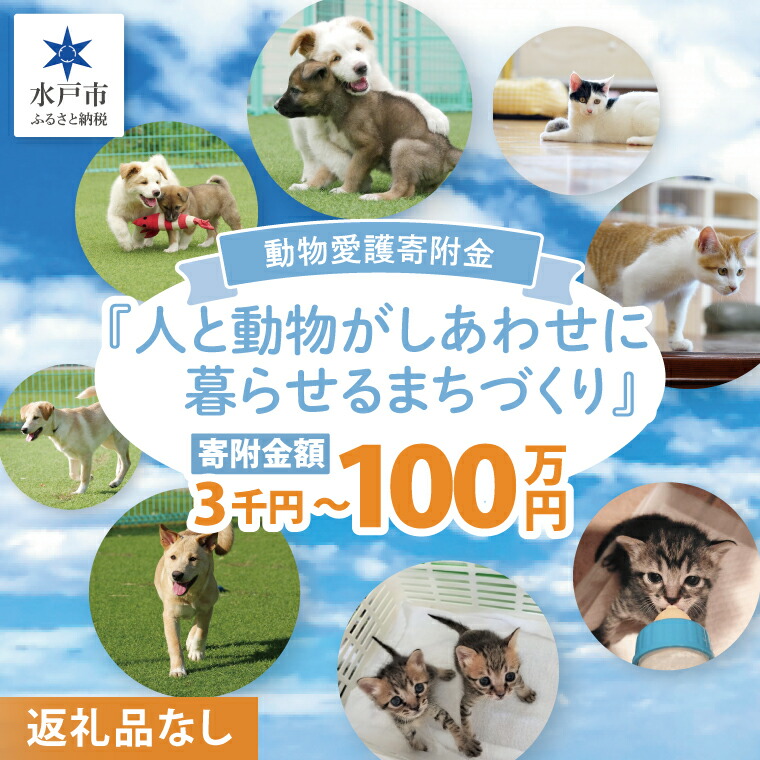 水戸市文芸批評社会的運動第二弾 実地中！