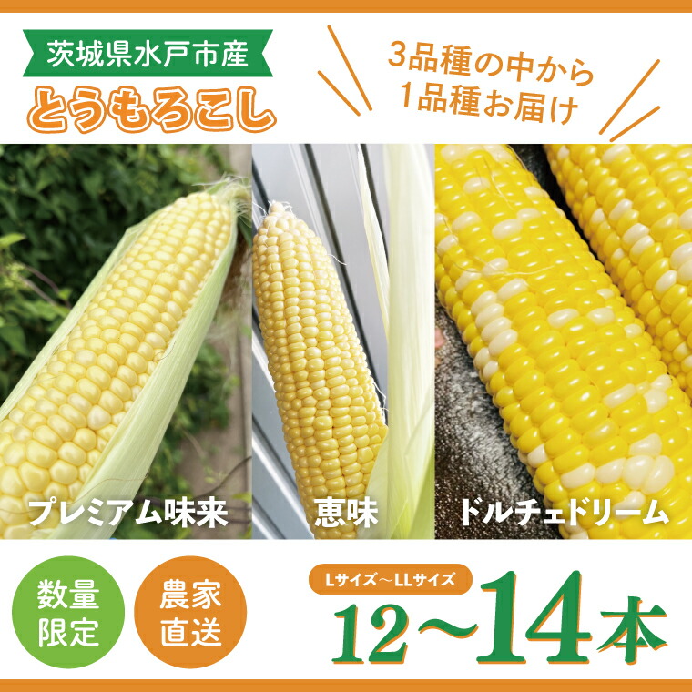 【ふるさと納税】【数量限定】【６月下旬より発送 】とうもろこし 12～14本【恵味 ドルチェドリーム プレミアム味来 とうもろこし  茨城県 水戸市産 農家直送 】（GR-4）
