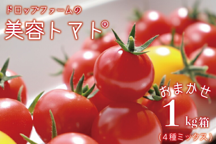 【ふるさと納税】【11月～6月発送】ドロップファームの美容トマトおまかせ1kg箱(４種ミックス)【とまと フルーツトマト 野菜ソムリエ 栄養士 アイコ イエローアイコ 小鈴 フルティカ 野菜 フレッシュ 水戸市 茨城県】（CK-7）