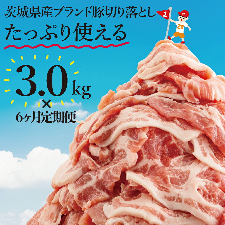【ふるさと納税】【数量限定】【6か月定期便】茨城県産豚ブランド切り落とし計18kg(３kg×6回)【肉 豚肉 切り落とし 小分け 真空 真空パック 茨城県産 肉料理 肩ロース ウデ モモ バラ 水戸市 水戸】（EC-103）