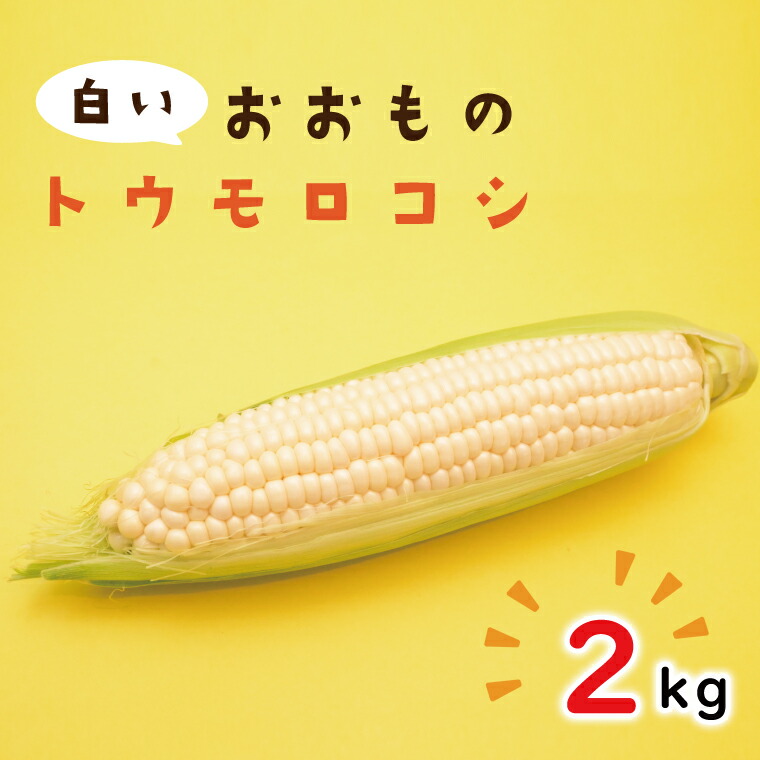 【ふるさと納税】【6月下旬より発送】白いおおもの(トウモロコシ)2kg【とうもろこし コーン 野菜 やさい 夏野菜 糖度 真っ白 純白 期間限定 水戸市 茨城県】（AY-5）