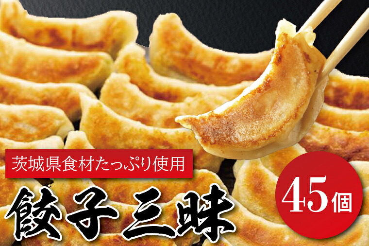 【ふるさと納税】餃子三昧【餃子の常陸 中華料理人 国産 塩分控えめ 手づくり 焼き餃子 冷凍 ぎょうざ ギョーザ 簡単調理 惣菜 おかず 水戸市 茨城県】（EQ-1）