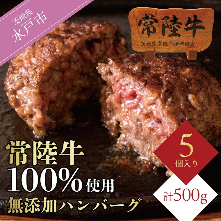 【ふるさと納税】＼最短翌日～5営業日以内発送／ 常陸牛100% ハンバーグ 5個 セット ギフト 母の日 食べ物 肉 10000円 無添加 手捏ねハンバーグ 100g 牛肉100% 冷凍 小分け ※離島への配送不可（北海道、沖縄本島は配送可能）（DU-6）