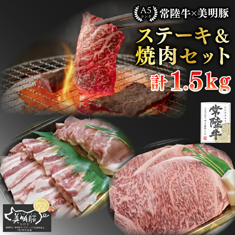 【ふるさと納税】【常陸牛 A5ランク・美明豚ステーキ焼肉セット】常陸牛サーロイン900g（300g×３枚）＋美明豚600g（ロース300g・ばら300g） 冷凍 国産牛 和牛 牛肉 豚肉　ブランド豚 茨城県 水戸市 食べ比べ セット商品 国産 BBQ 老舗精肉店 EK-36