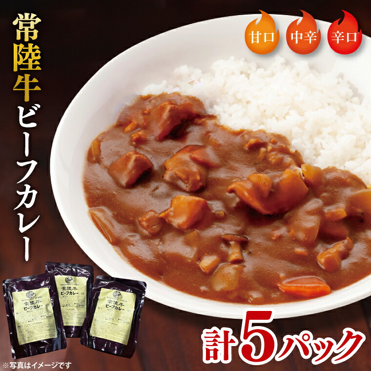 【ふるさと納税】常陸牛ビーフカレー５パックセット【常陸牛 黒毛和牛 カレー レトルトカレー レトルト レトルト食品 熟成 セット 保存食 非常食】（BA-13）