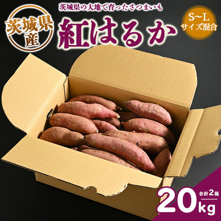 楽天市場】【ふるさと納税】生芋 10kg S～Lサイズ混合 1箱 いも長