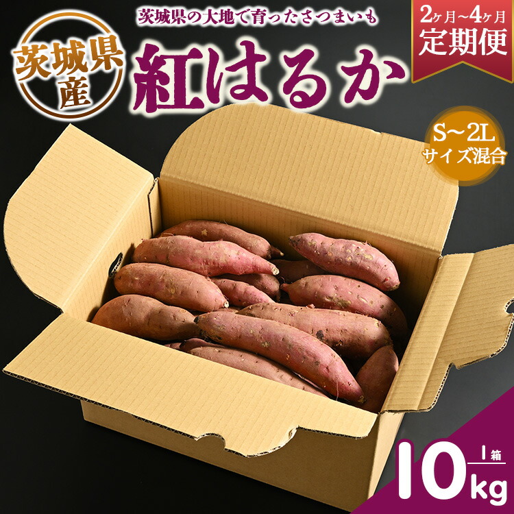 【ふるさと納税】【定期便】生芋　10kg　S～2Lサイズ混合　1箱 いも長 | さつまいも いも 生いも 紅はるか 国産<br>※着日指定不可<br>※離島への配送不可