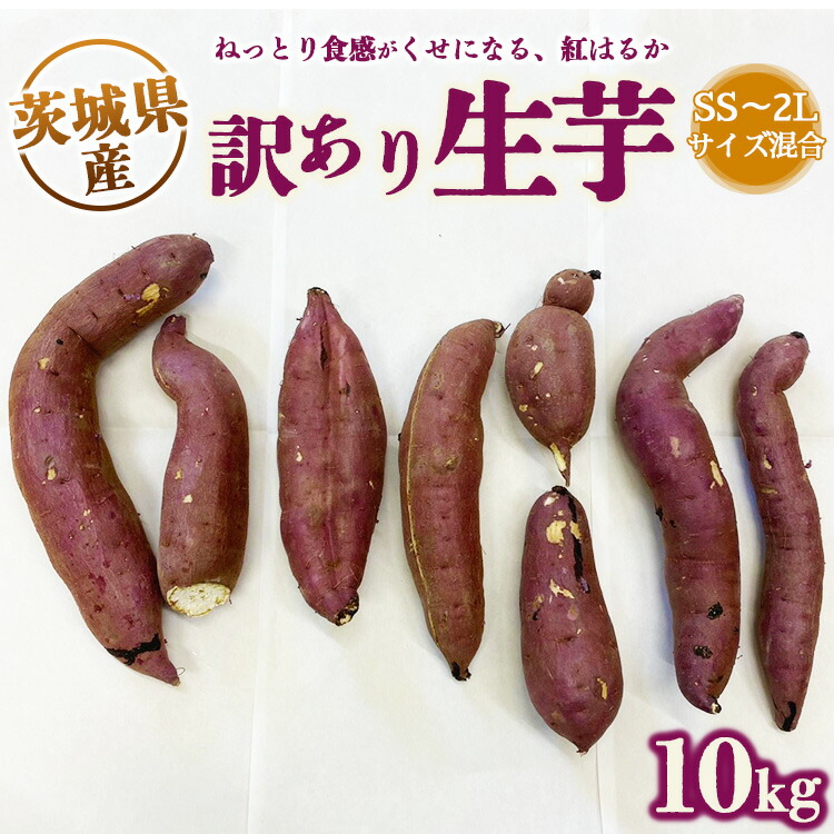 【ふるさと納税】【訳あり】生芋10kg　SSサイズ～2Lサイズ（サイズバラ）　※離島への配送不可　※2024年11月下旬～2025年9月下旬頃に順次発送予定
