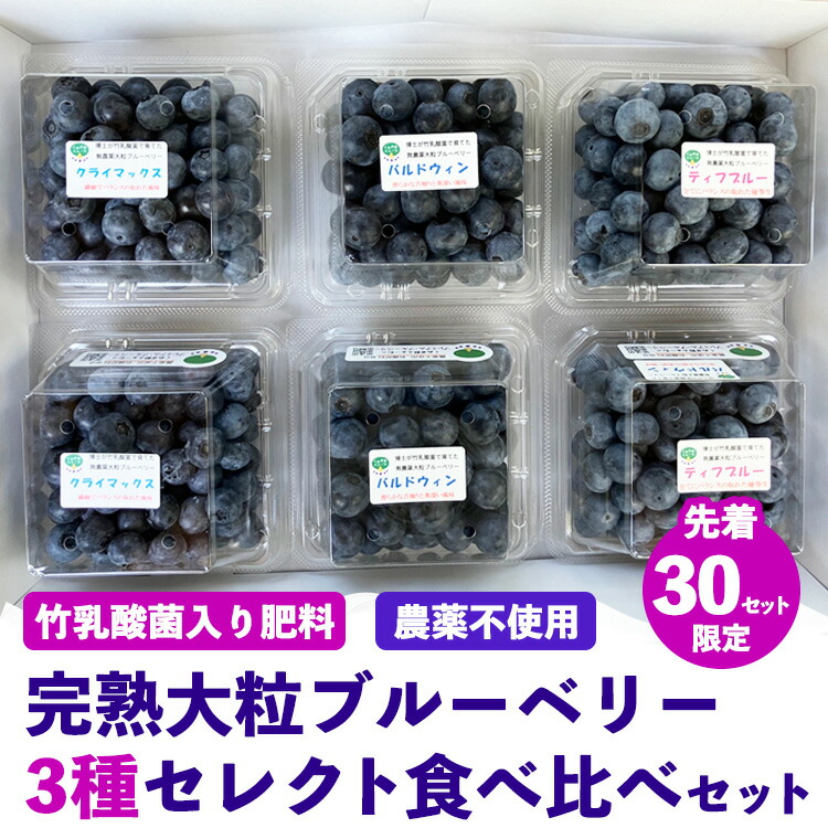 【ふるさと納税】【先行予約30セット限定】大粒完熟ブルーベリー3種セレクト食べ比べセット｜お楽しみ 大粒完熟 農薬不使用 竹乳酸菌入り肥料 ※離島への配送不可 ※2025年7月中旬～8月中旬頃に順次発送予定