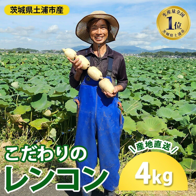 れんこん 楽天市場】【ふるさと納税】【先行予約】レンコン 4kg【新