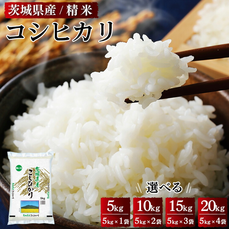 【ふるさと納税】【選べる重量・産年】令和6年産・7年産 茨城県産 コシヒカリ 精米 ※離島への配送不可