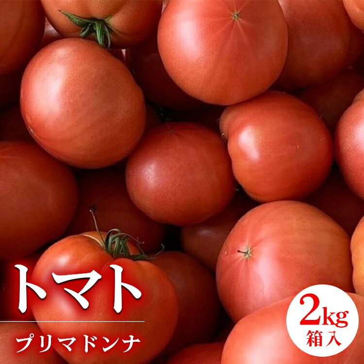【ふるさと納税】【先行予約】トマト プリマドンナ ギュッと美味しさ詰まったトマト 2kg箱入 ※離島への配送不可 ※2025年1月上旬～6月下旬頃に順次発送予定