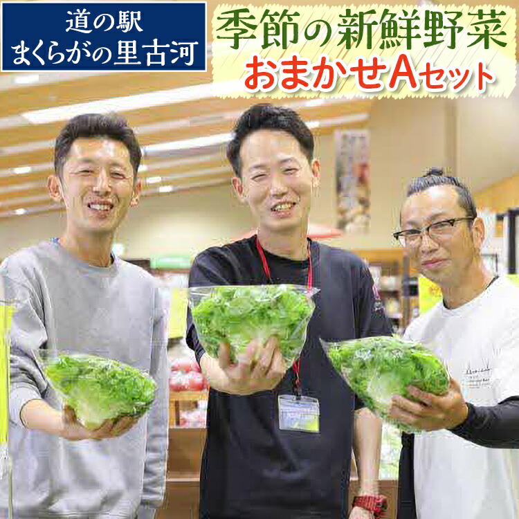 【ふるさと納税】道の駅まくらがの里古河　季節の新鮮野菜おまかせAセット ※北海道・沖縄・離島への配送不可 | 野菜 詰合せ 詰め合わせ セット アソート 新鮮 道の駅 人気 ギフト 贈答 贈り物 プレゼント お中元 お歳暮 茨城県 古河市 直送 産地直送  _BQ03