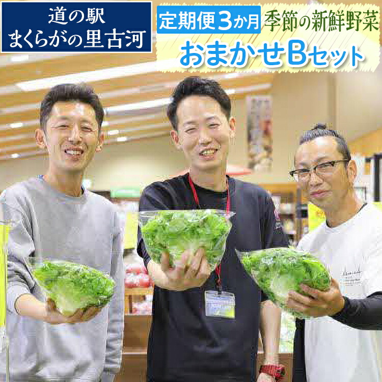 【ふるさと納税】【定期便３か月】道の駅まくらがの里古河　季節の新鮮野菜おまかせBセット ※北海道・沖縄・離島への配送不可 | 野菜 詰合せ 詰め合わせ セット アソート 新鮮 道の駅 人気 ギフト 贈答 贈り物 プレゼント お中元 お歳暮 茨城県 古河市 直送 農家直送 _BQ06