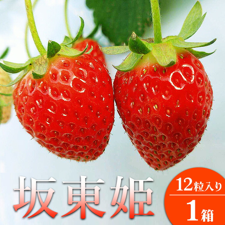 【ふるさと納税】坂東姫 12粒入×1箱  ※2025年12月下旬～2026年2月上旬頃に順次発送予定 ※北海道・沖縄・離島への配送不可｜ いちご 苺 イチゴ 坂東姫 果物 フルーツ 旬 坂東太郎 あまい 甘い 人気 取り寄せ お取り寄せ ギフト 贈答 贈り物 プレゼント 直送 _CB18