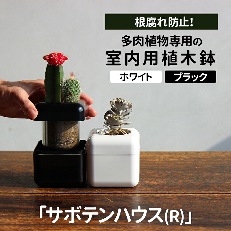 【ふるさと納税】根腐れ防止!多肉植物専用の室内用植木鉢「サボテンハウス(R)」 かわいいキューブ型植木鉢 日用品 贈答品 プレゼント ギフト _GD01 _GD02|茨城県古河市