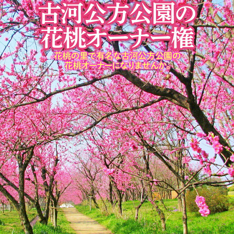 ～ゴルフしっぺい返し品決定づける版～創業当て嵌める券から一般受けお召しもの、助けになる歯車まで徹底引き合わせる！