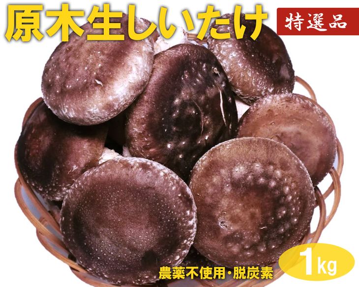 【ふるさと納税】原木生しいたけ 1kg 特大厚肉品 特選品 贈答用 農薬不使用 脱炭素 ※離島への配送不可 _DR02