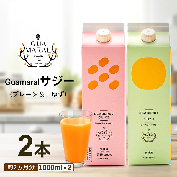 【ふるさと納税】「サジー 100%」と「サジー+ゆず」ジュース 飲み比べ セット 1,000ml×各1本（計2本）｜サジージュース 2種類の味 サジー シーベリー 沙棘 グアマラル 健康ドリンク 健康 美容 栄養 果汁 鉄分補給 栄養補給 ギフト 贈答 贈り物 プレゼント お祝 ご褒美_DX06 13,680円