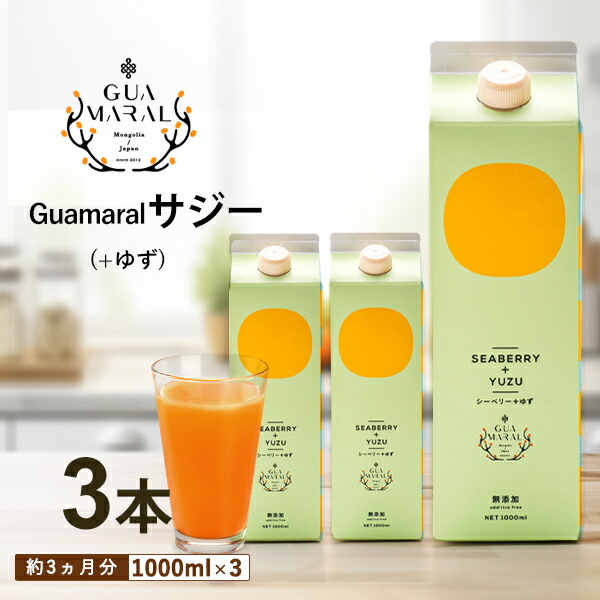 楽天市場】【ポイント2倍】サジー ジュース ＋ゆず 1000ml 【3本