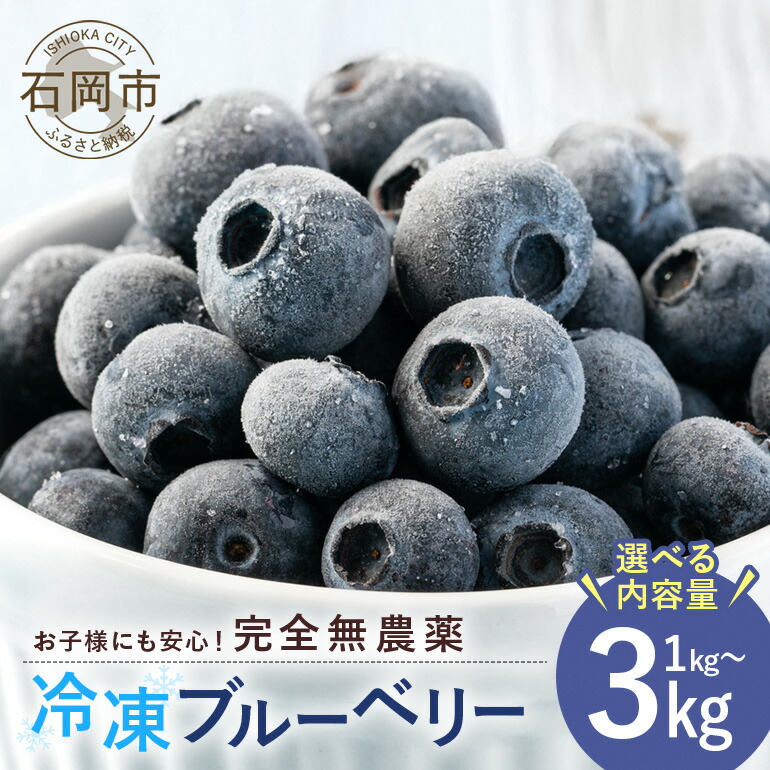 【ふるさと納税】 元気に育った ブルーベリー 選べる内容量 1kg 1.5kg 2kg 3kg 冷凍  農薬 栽培期間中 不使用 果物 フルーツ 1キロ 手摘み 急速冷凍 国産 産地直送 農家直送 産直 夏 7月 以降 発送 スムージー くだもの 茨城 茨城県 石岡市 送料無料 (A11-008)